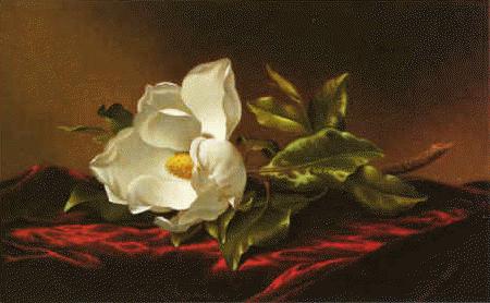 Martin Johnson Heade Magnolia f Sweden oil painting art